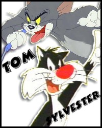 [ tom and sylvester ]