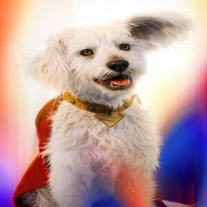 Krypto