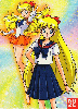 Sailor Venus