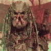 Elder Predator