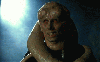 Bib Fortuna