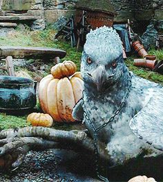 Buckbeak