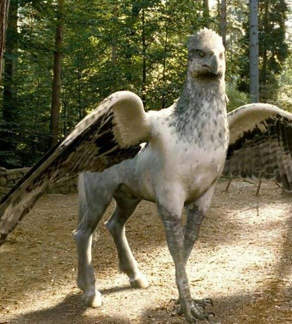 Buckbeak