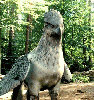 Buckbeak