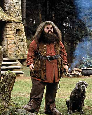 Rubeus Hagrid