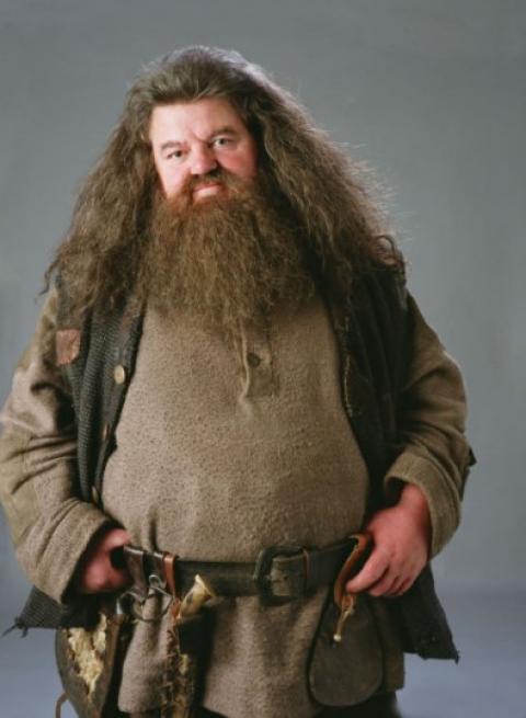 Rubeus Hagrid