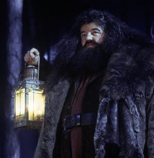 Rubeus Hagrid