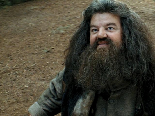 Rubeus Hagrid