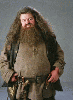 Rubeus Hagrid