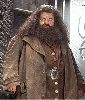 Rubeus Hagrid