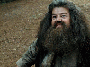 Rubeus Hagrid