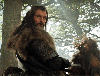 Thorin Oakenshield