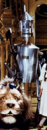 Tin Woodman 