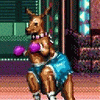 Roo (Streets Of Rage)