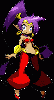 Shantae