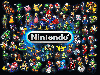 The Nintendo Universe