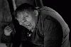 Quasimodo